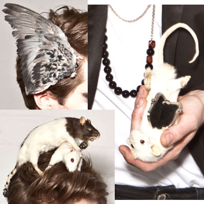 200910 RP/Encore Taxidermy Accessories