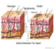 age spots image