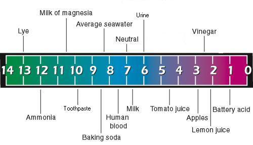 alkaline image