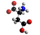 amino acids image