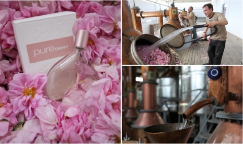 The Turkish rose distillation process. Photo: Courtesy of DNKY